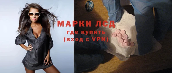 прущие грибы Баксан