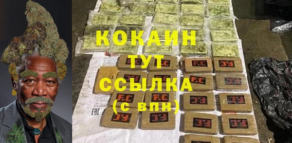 прущие грибы Баксан