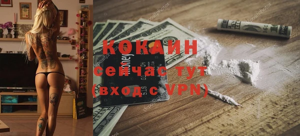 прущие грибы Баксан