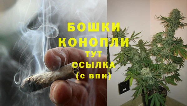 прущие грибы Баксан