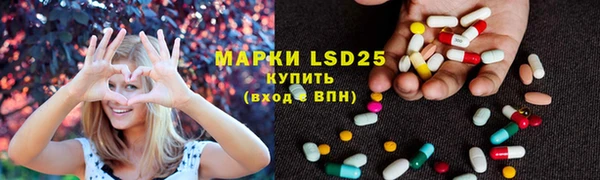 прущие грибы Баксан
