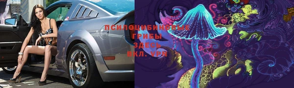 прущие грибы Баксан