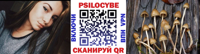 Галлюциногенные грибы GOLDEN TEACHER  наркошоп  Гдов 