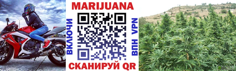Марихуана SATIVA & INDICA Гдов